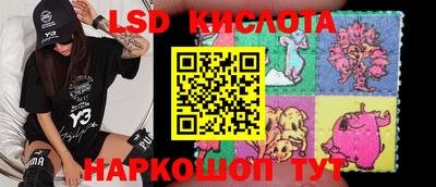 индика Заволжье