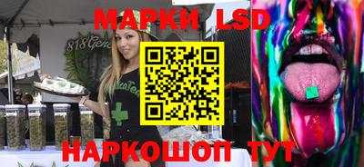 индика Заволжье