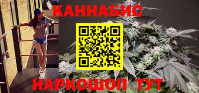 индика Заволжье