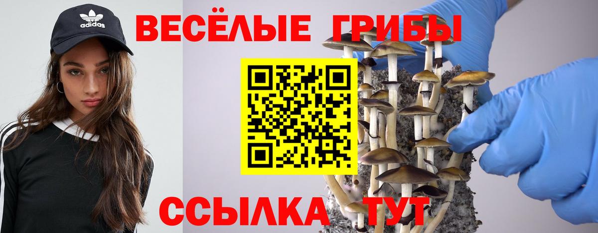 Галлюциногенные грибы Psilocybe Лыткарино